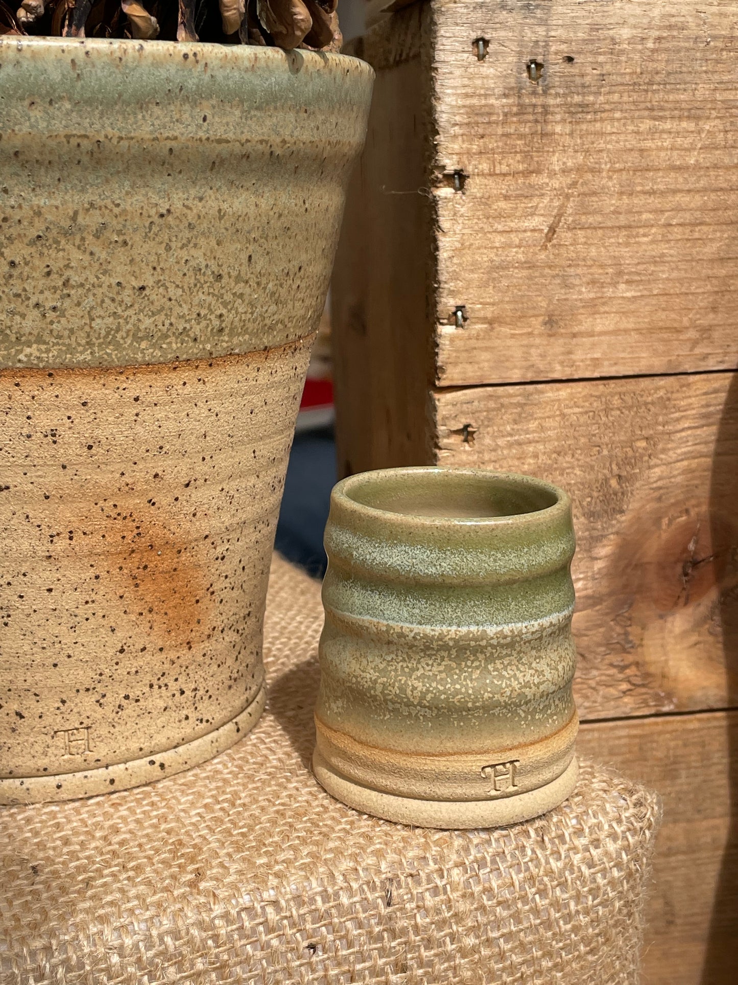 Ripple Espresso Cup - Sage - Without Handle
