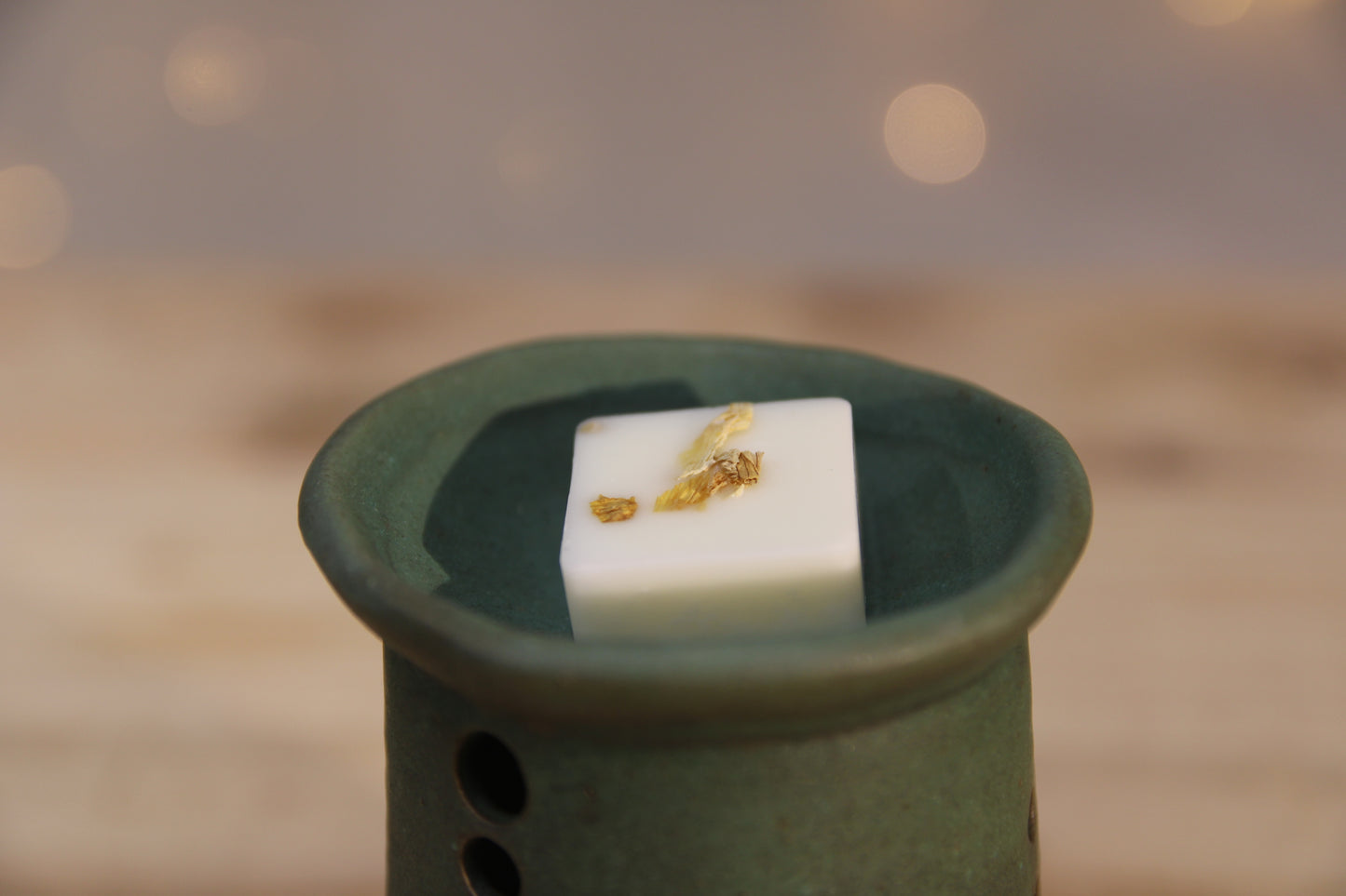 Herbarium Wax Melter Gift Set